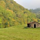 Herbststimmung im Frühnebel