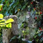 Herbststimmung im Garten