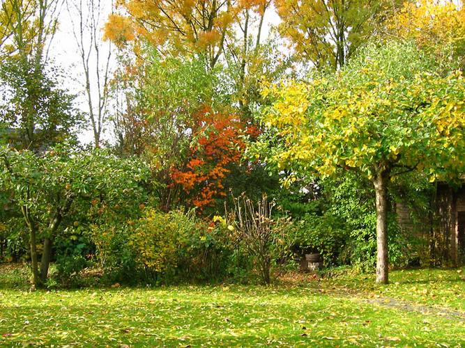 Herbststimmung im Garten