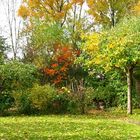 Herbststimmung im Garten