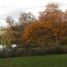 Herbststimmung im Greizer Park (1)