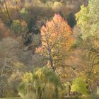 Herbststimmung im Greizer Park (3)