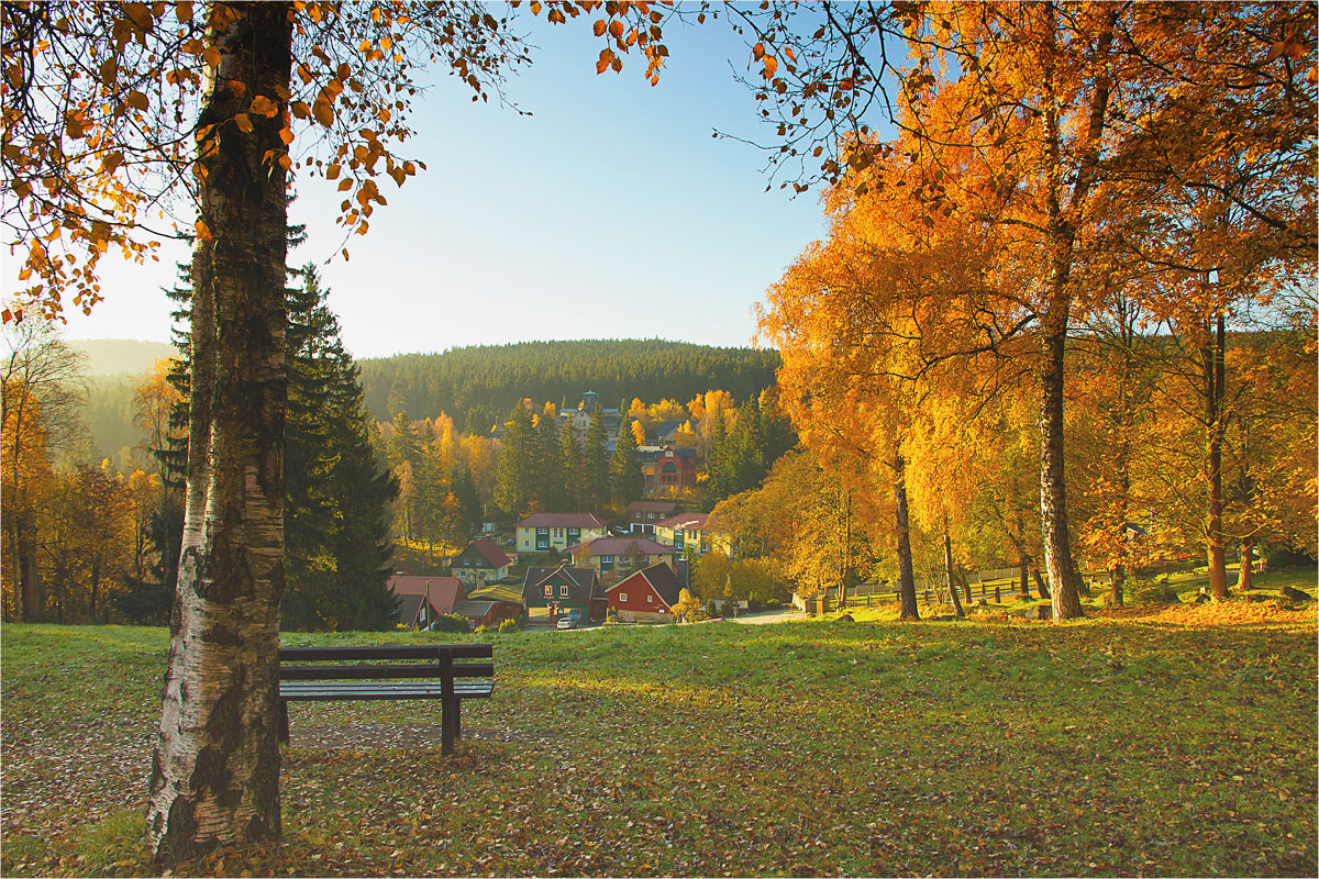 Herbststimmung im harz