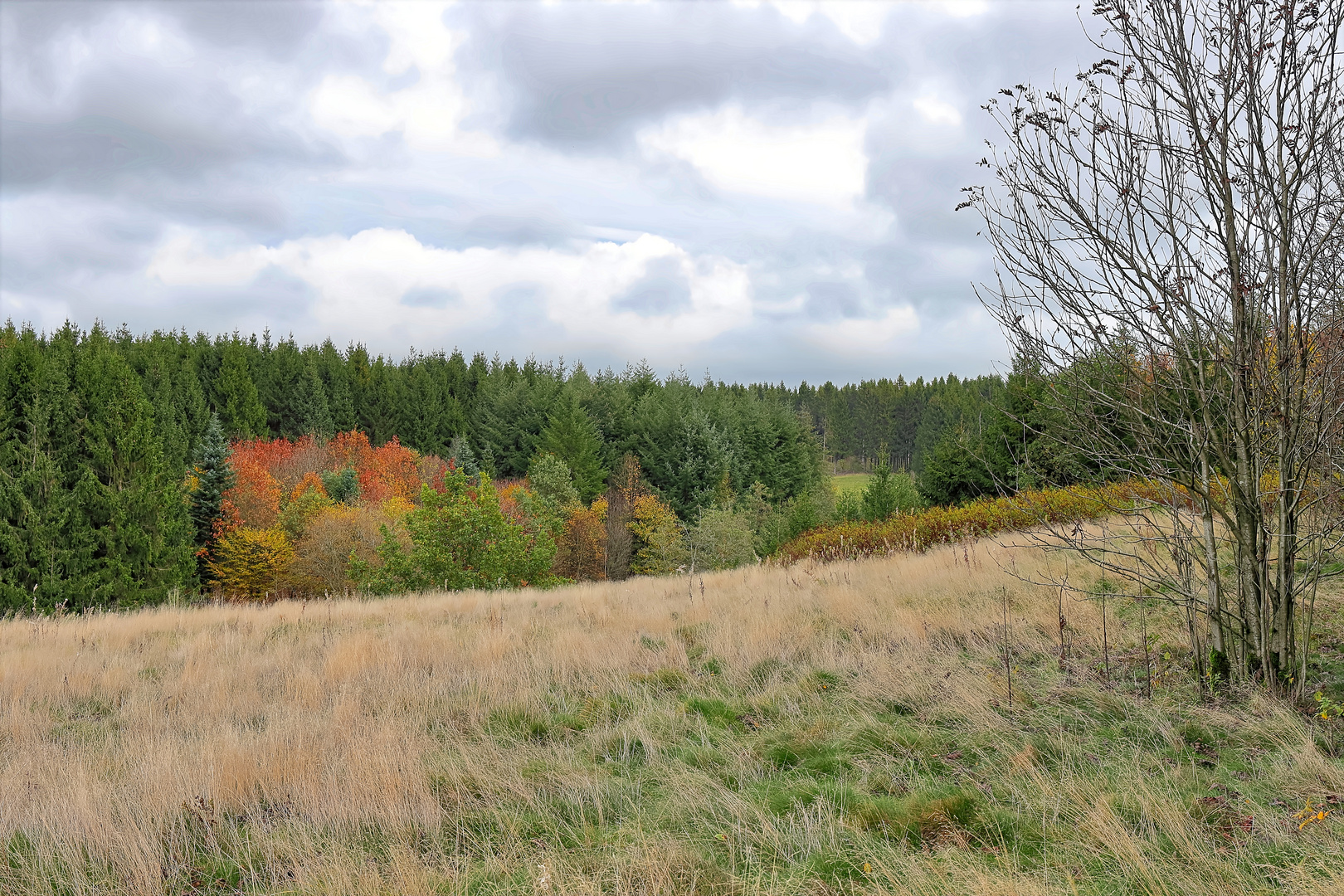 Herbststimmung im Harz