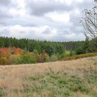 Herbststimmung im Harz