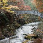 Herbststimmung im Harz/Bodetal