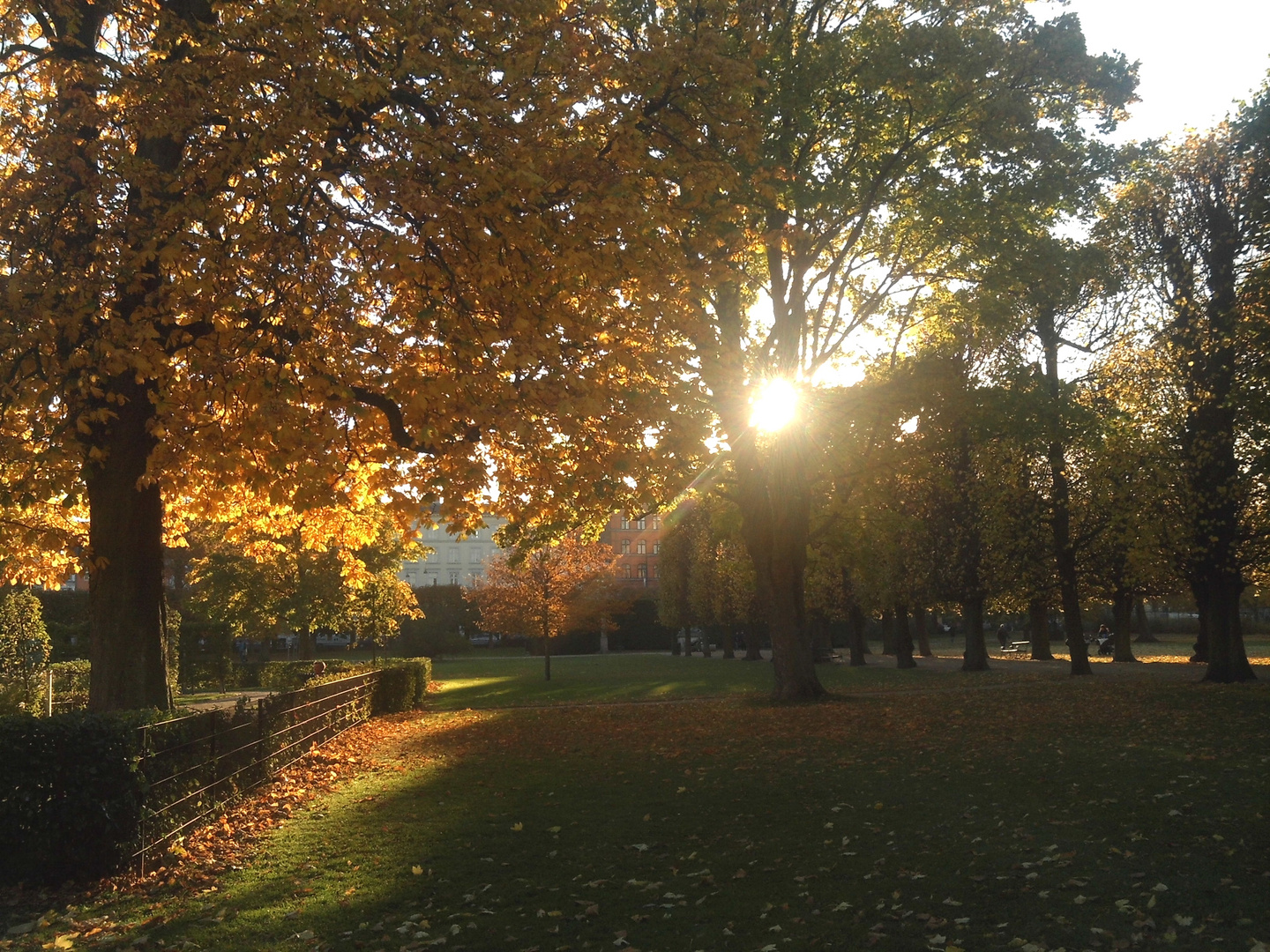 Herbststimmung im Königlichen Garten (Kopenhagen)