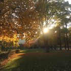 Herbststimmung im Königlichen Garten (Kopenhagen)