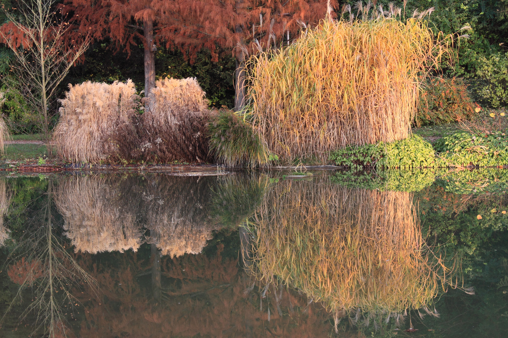 Herbststimmung im Kurpark Bad Bellingen