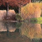 Herbststimmung im Kurpark Bad Bellingen