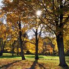 Herbststimmung im KZ Buchenwald