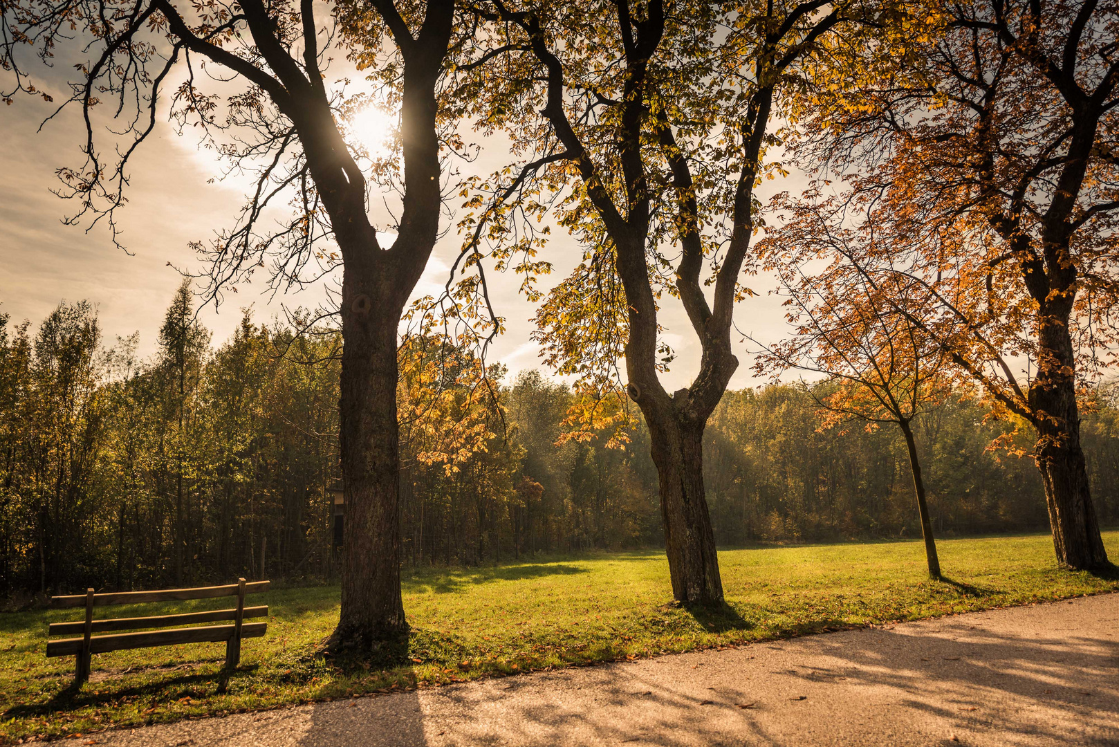 Herbststimmung im Lainzer Tiergarten