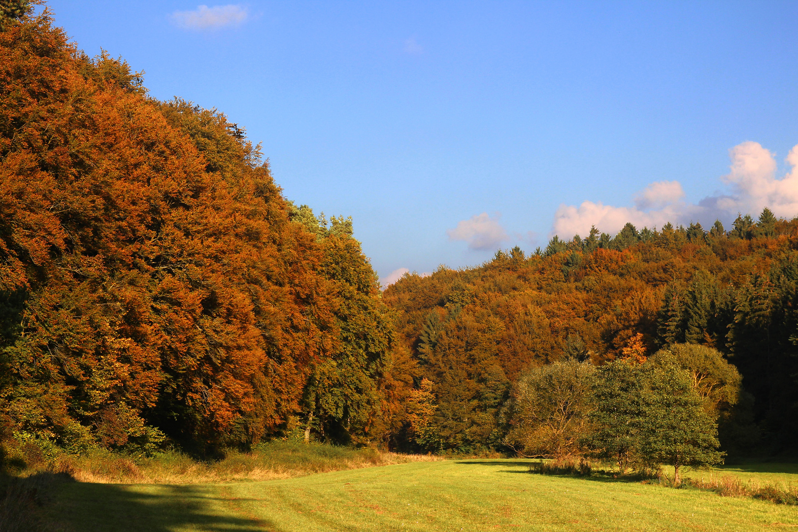 Herbststimmung im Lampertsbachtal