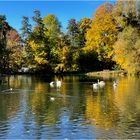 herbststimmung im levinschen park in göttingen