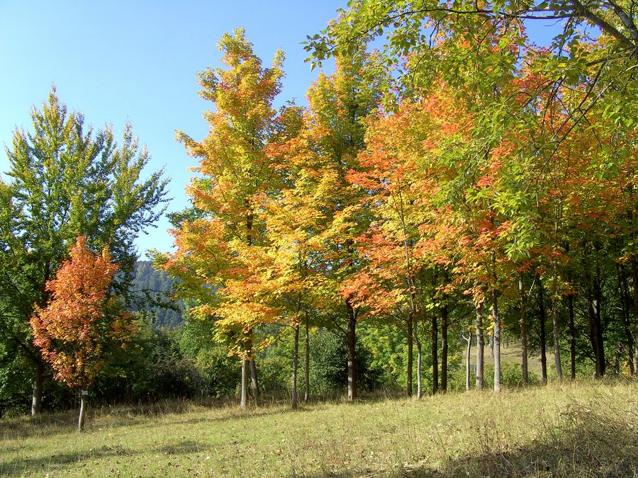 Herbststimmung im Liliental ...