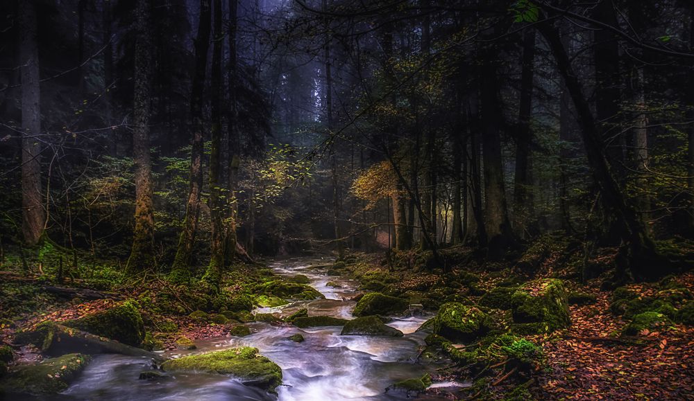 Herbststimmung im Monbachtal 