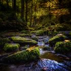 Herbststimmung im Monbachtal 