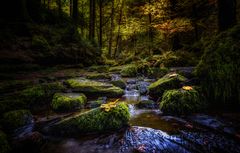 Herbststimmung im Monbachtal 