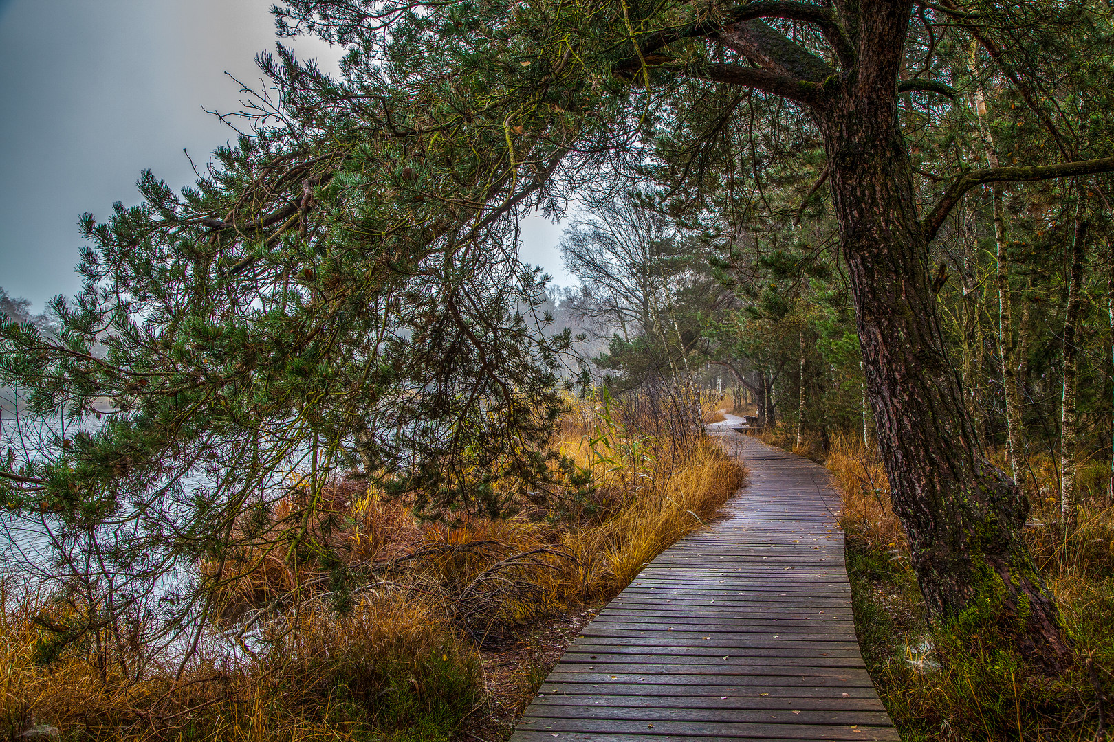 Herbststimmung im Moor