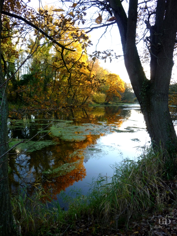 Herbststimmung im Moor