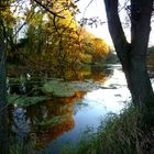 Herbststimmung im Moor