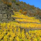 Herbststimmung im Moseltal 12