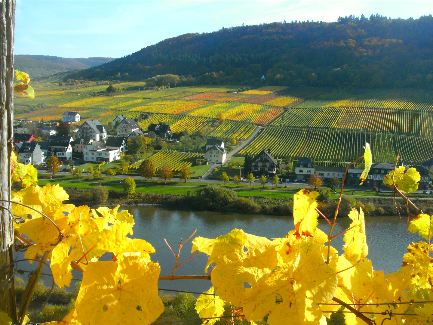 Herbststimmung im Moseltal 17