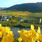 Herbststimmung im Moseltal 17