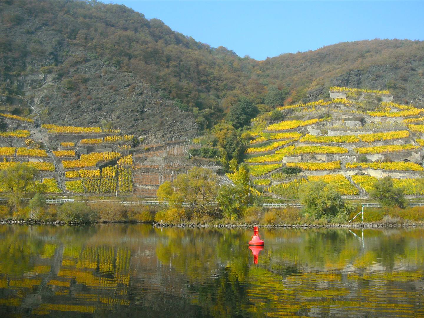 Herbststimmung im Moseltal 25