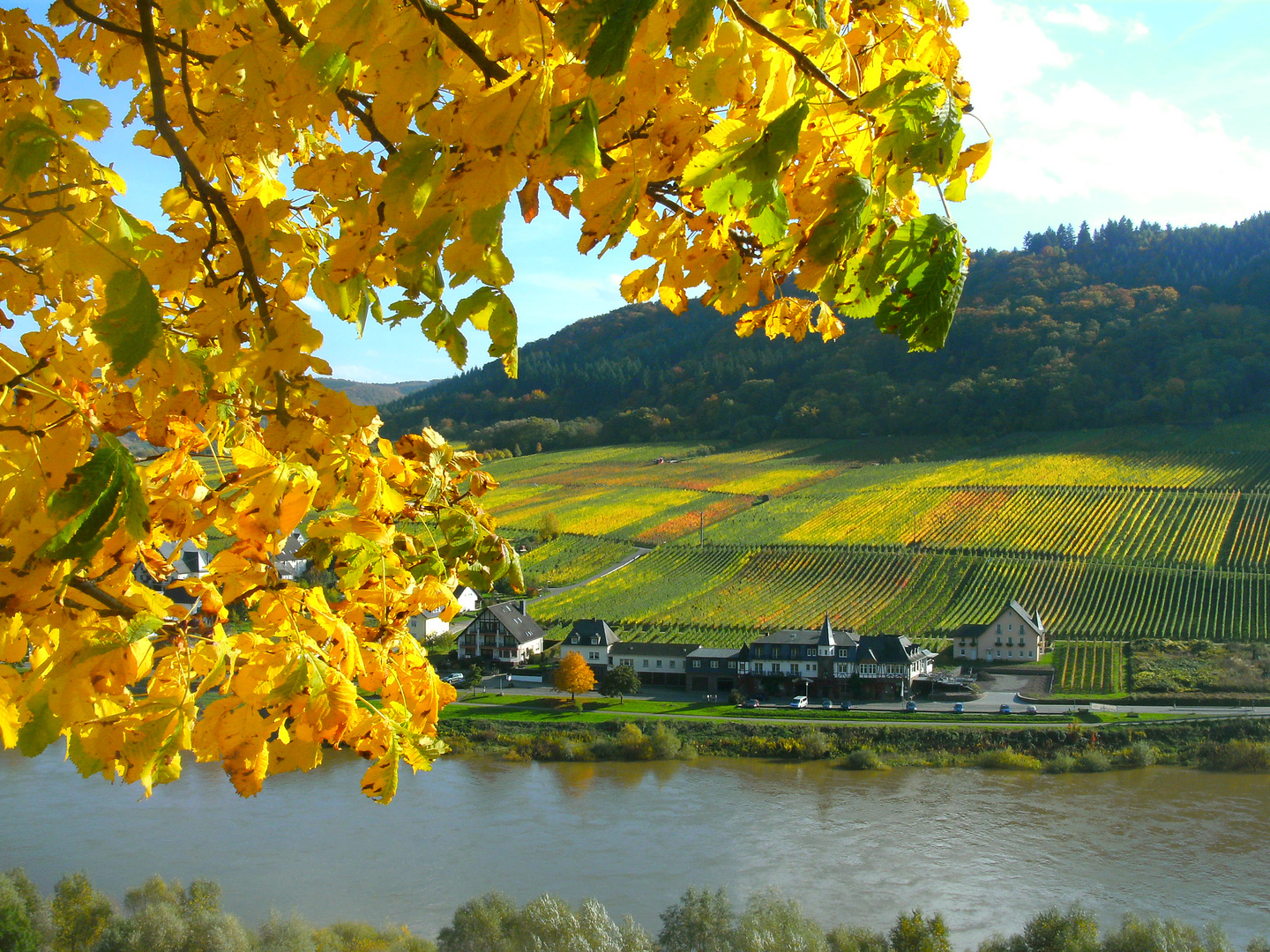 Herbststimmung im Moseltal 27