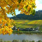 Herbststimmung im Moseltal 27