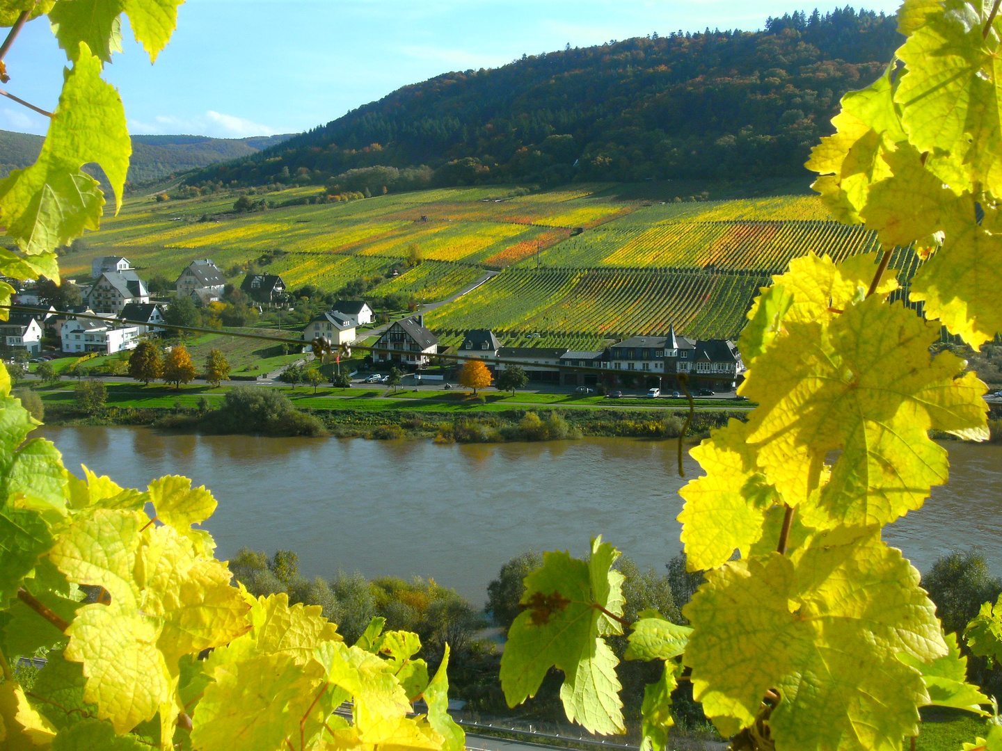 Herbststimmung im Moseltal 28