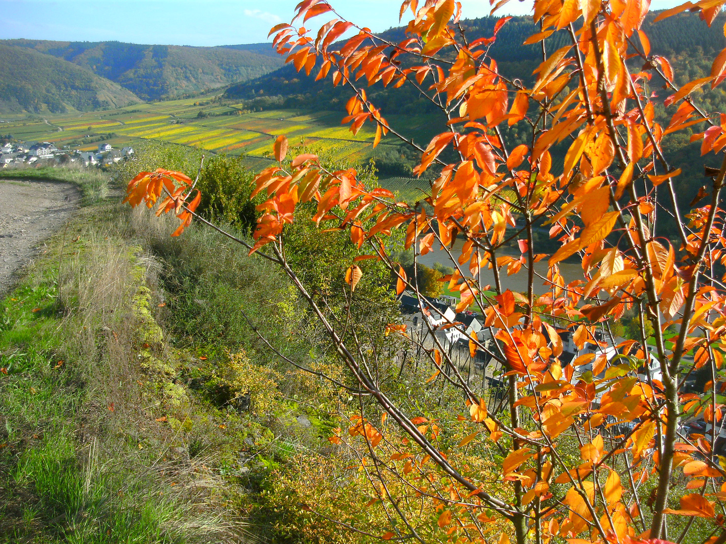 Herbststimmung im Moseltal 30