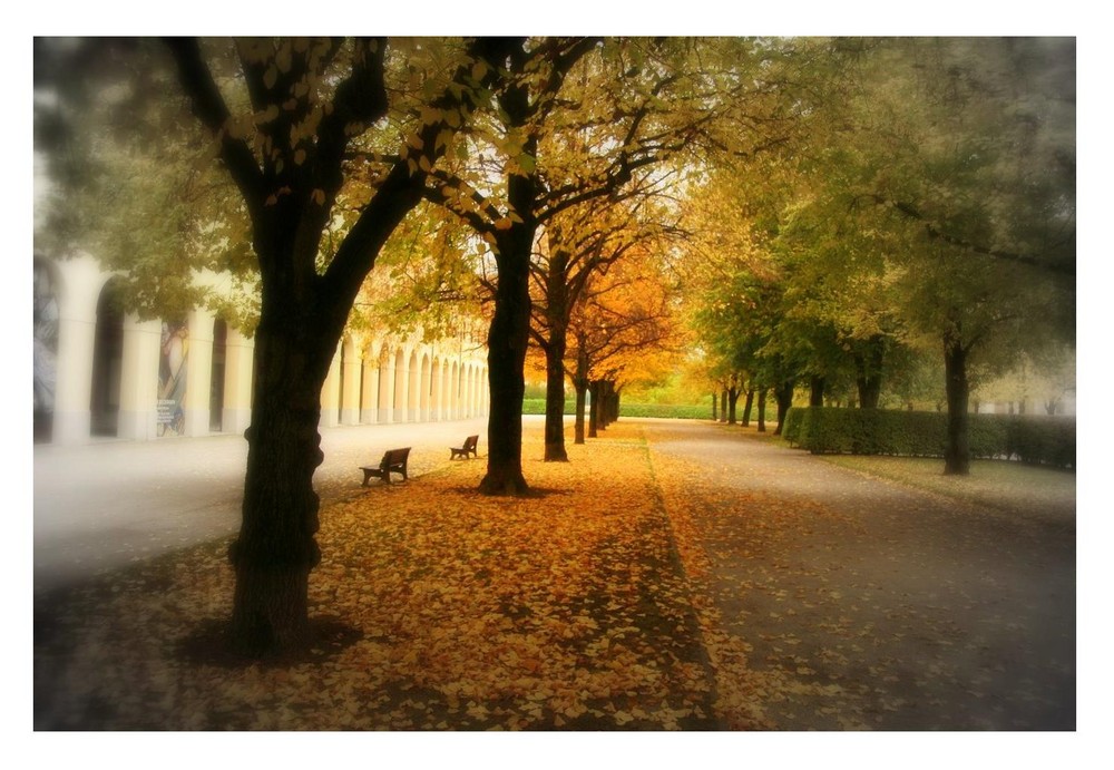 Herbststimmung im Münchner Hofgarten