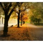 Herbststimmung im Münchner Hofgarten