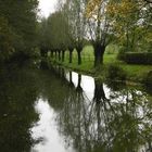 Herbststimmung im Münsterland