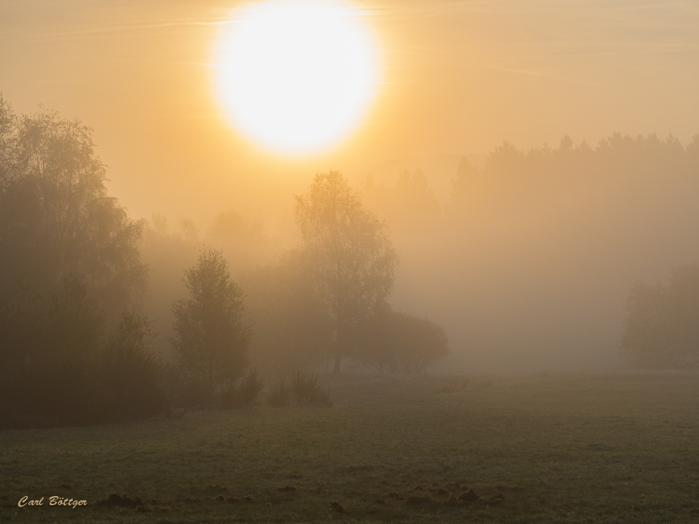 Herbststimmung im NSG Trupbacher Heide