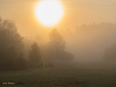 Herbststimmung im NSG Trupbacher Heide