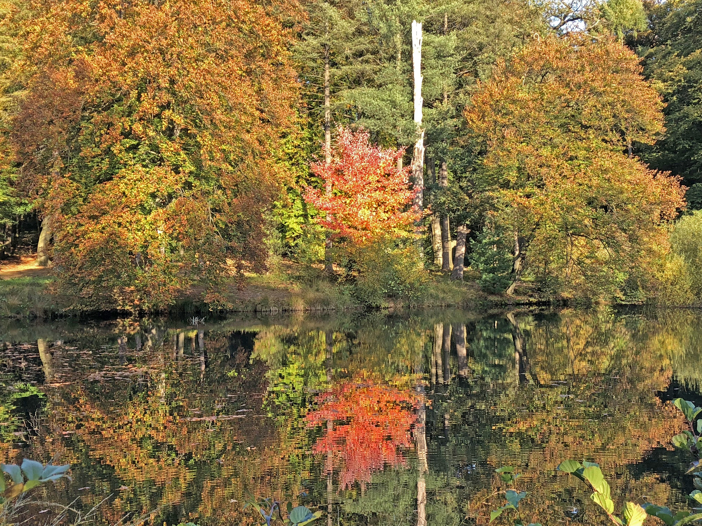 Herbststimmung im Oktober