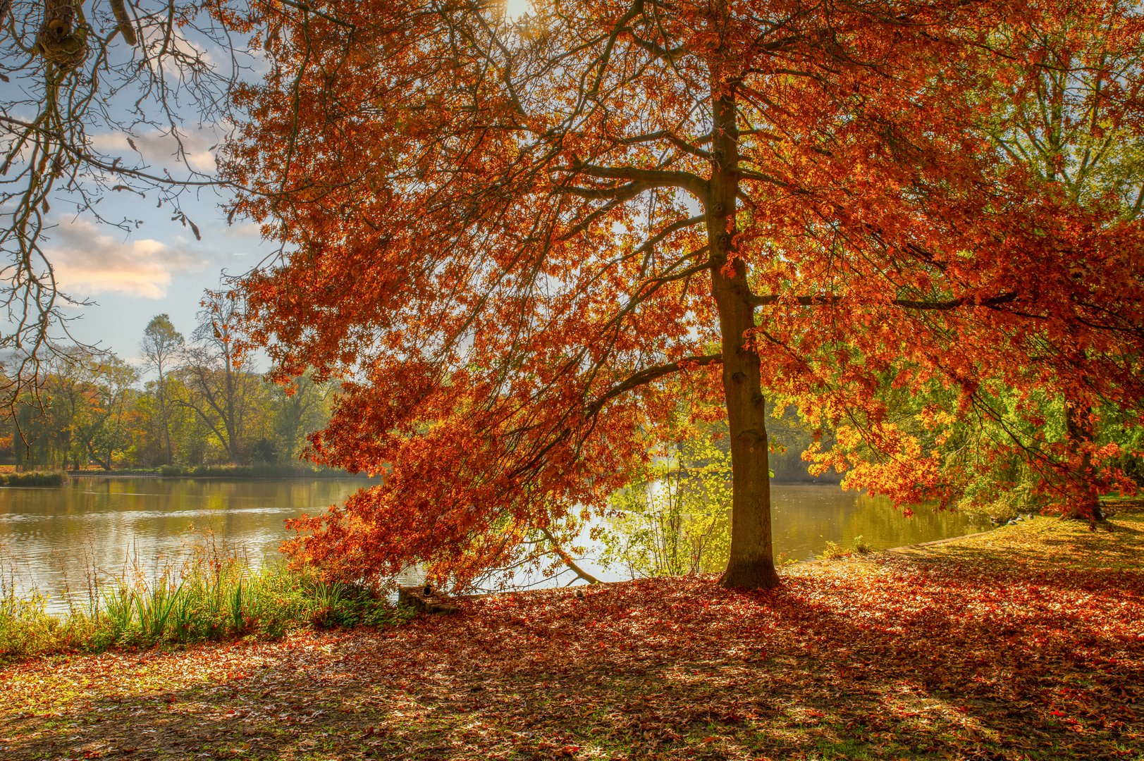 Herbststimmung im Oktober 2022