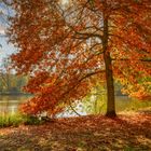 Herbststimmung im Oktober 2022