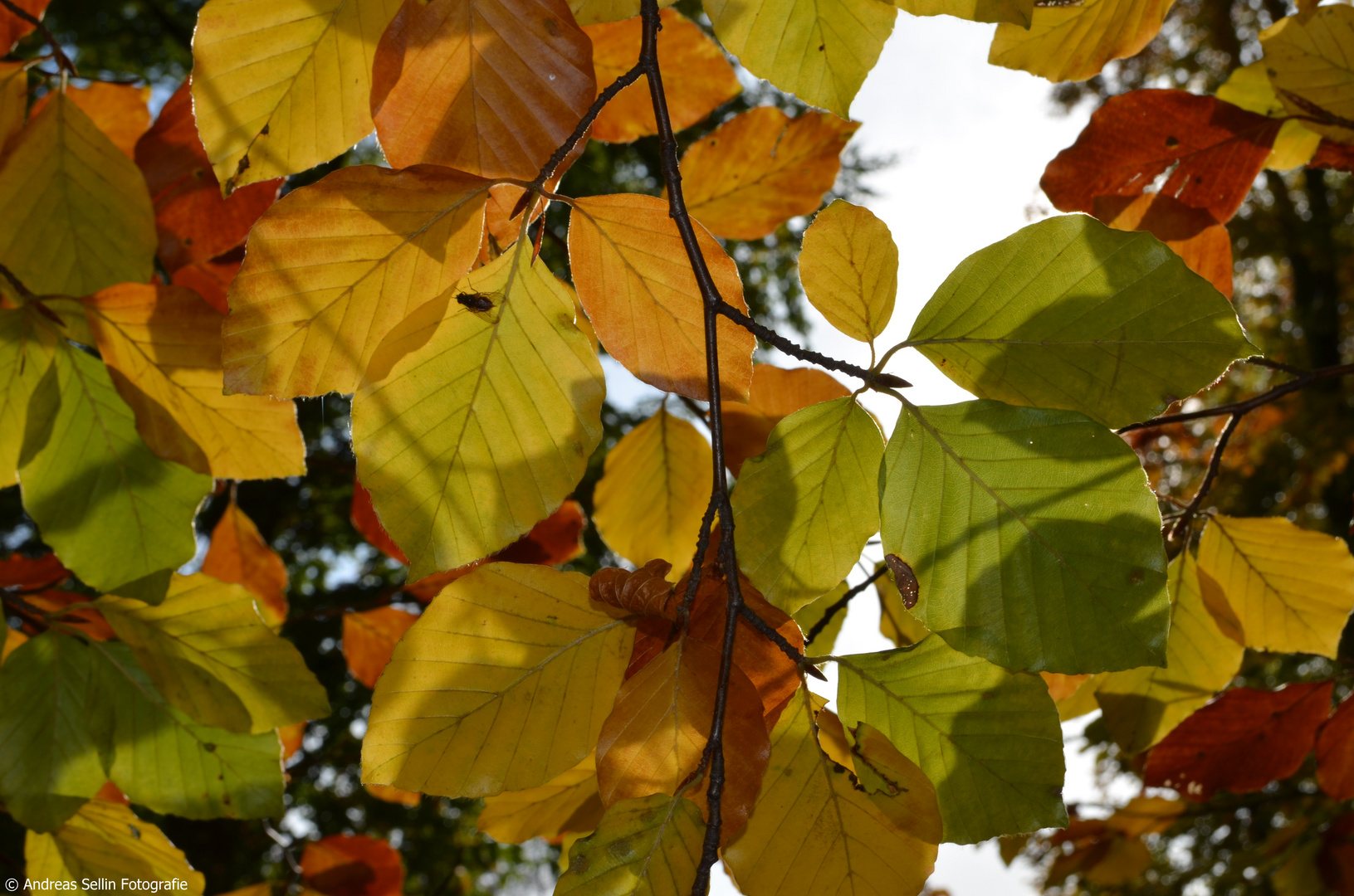 Herbststimmung im Oktober