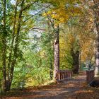 Herbststimmung im Paradies