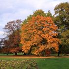 Herbststimmung im Parc de Schoppenwihr