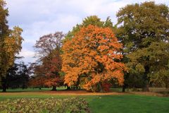 Herbststimmung im Parc de Schoppenwihr