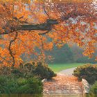 Herbststimmung im Park