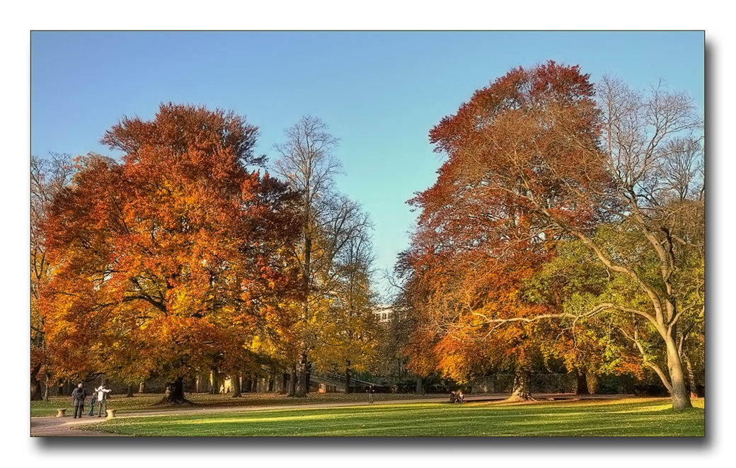 Herbststimmung im Park