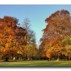 Herbststimmung im Park