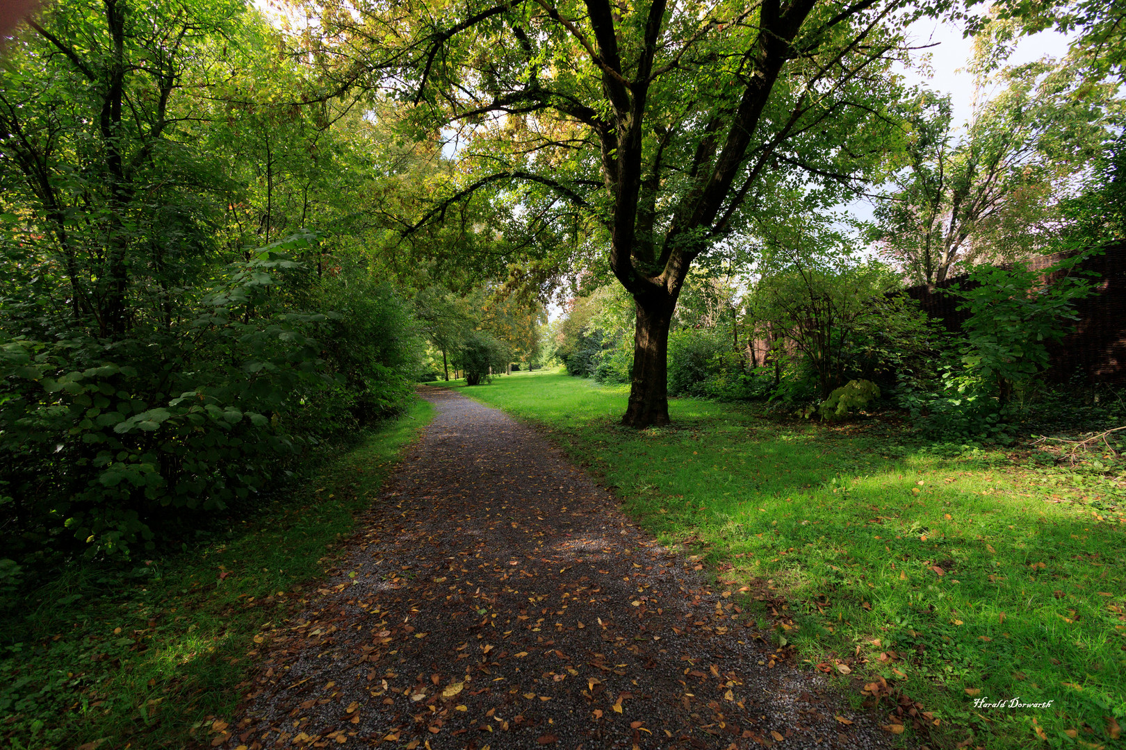 Herbststimmung im Park