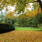 Herbststimmung im Park